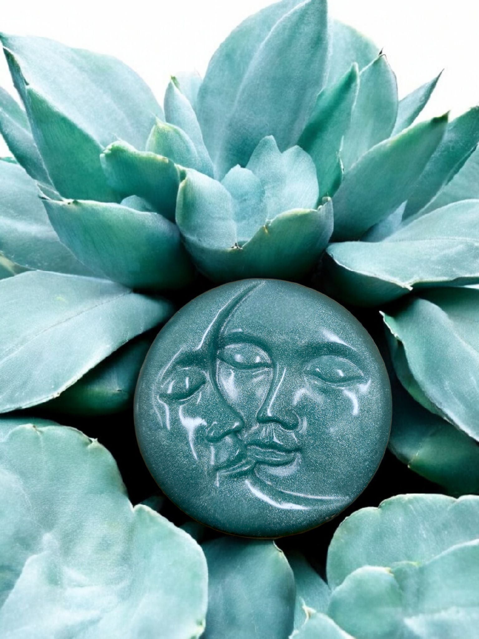 Aloe & Olive Oil Body Bars