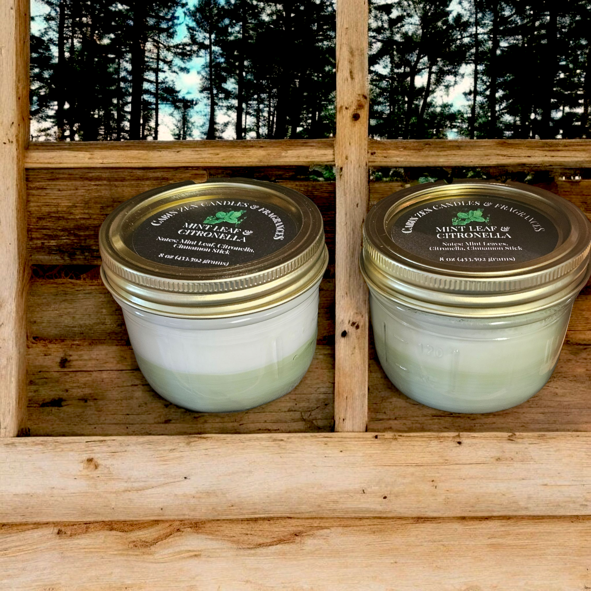 SUMMER EXCLUSIVE: Mint Leaf & Citronella