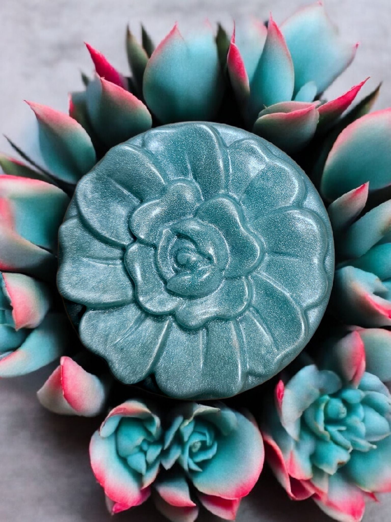 Aloe & Olive Oil Body Bars